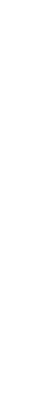 layer-1 Layer 1
